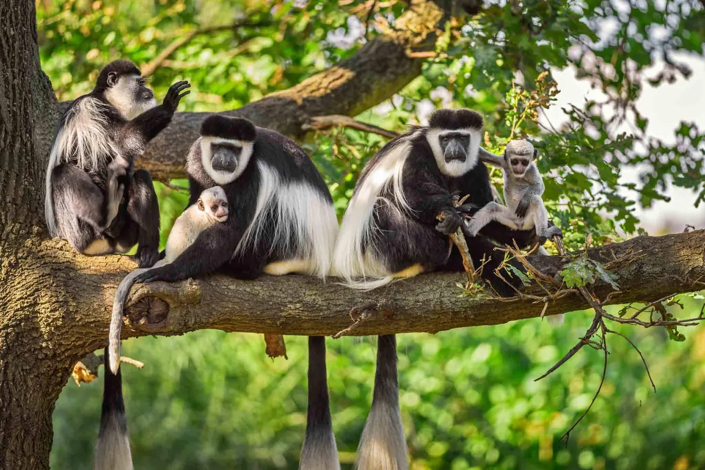 Tanzania day trips from Moshi and Arusha