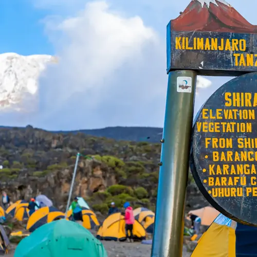 Kilimanjaro trekking with Sammy Adventure