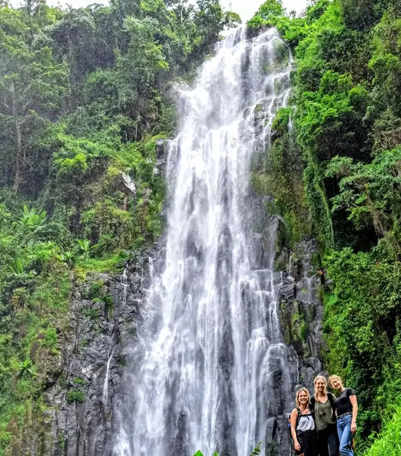 Materuni Waterfalls and coffee day trip